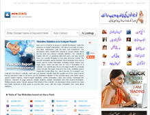 Tablet Screenshot of inpk.com